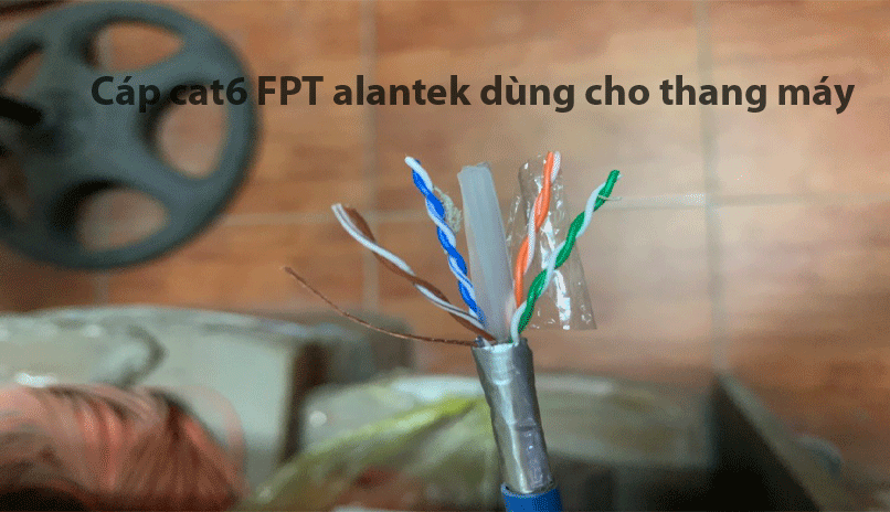 Cáp mạng Cat6 FTP lõi mềm dùng cho thang máy chính Alantek 301-60FP80-DSBU