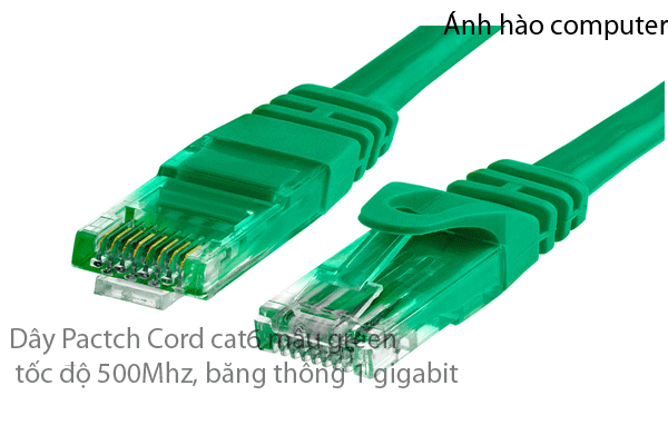 patch cord cat6 dài 3m mầu xanh lá cây chính hãng Sino Amigo SN-23005