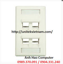 Face plates, Mặt nạ 04 port chính hãng Dintek