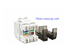 Nhân mạng cat6 comscop chính hãng Comscop mã 1375055-1  giá tốt cho dự án